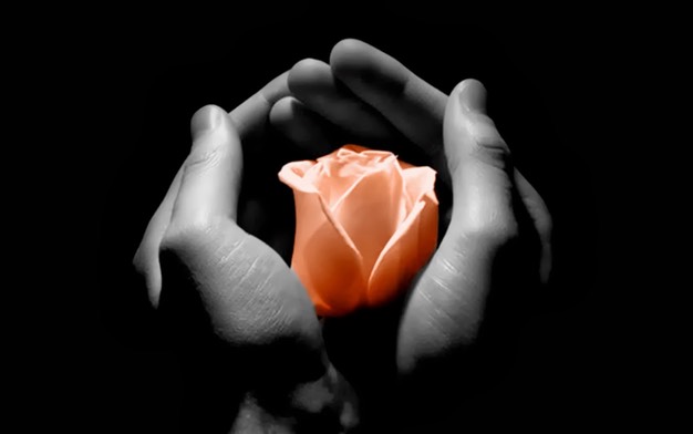 Rose-Black-and-White-Love-Wallpaper